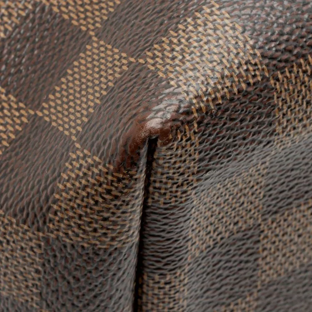Louis Vuitton Damier Ebene Clapton Backpack